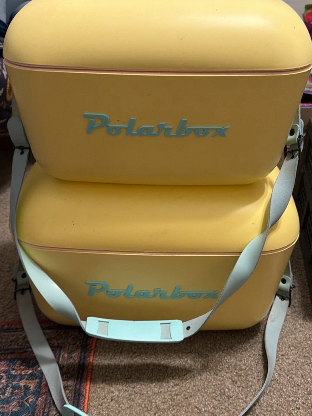 Polarbox Insulated Cooler Bag in Pastel Yellow